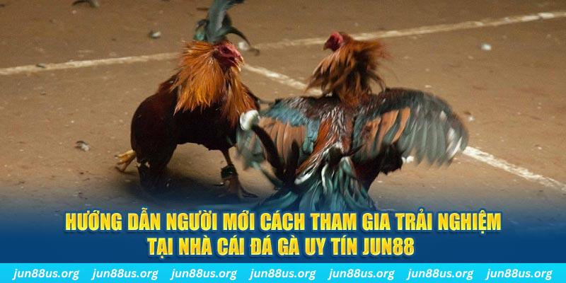 98 win loi game dot kich ket noi may chu that bai