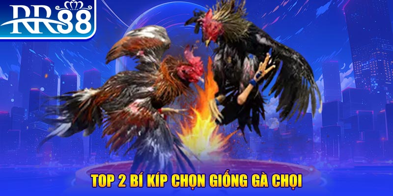 98 win máy thu cước bắn cá