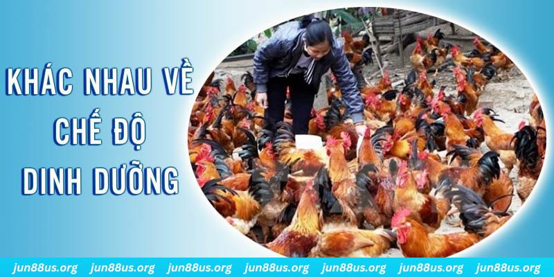 98 win xổ số miền nam thứ năm hàng tuần