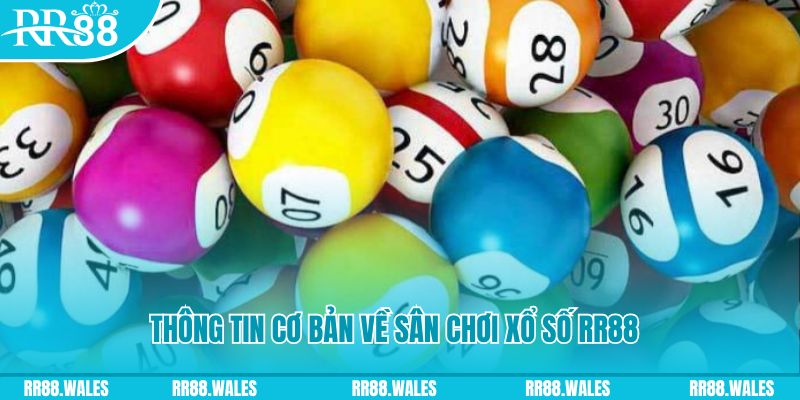 98 win đá gà hôm nay