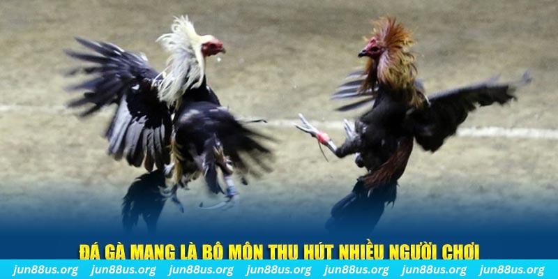 98 win tại sao tải game bài sunwin không được