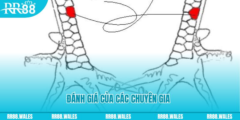 98 win V8 Game Bài 3d