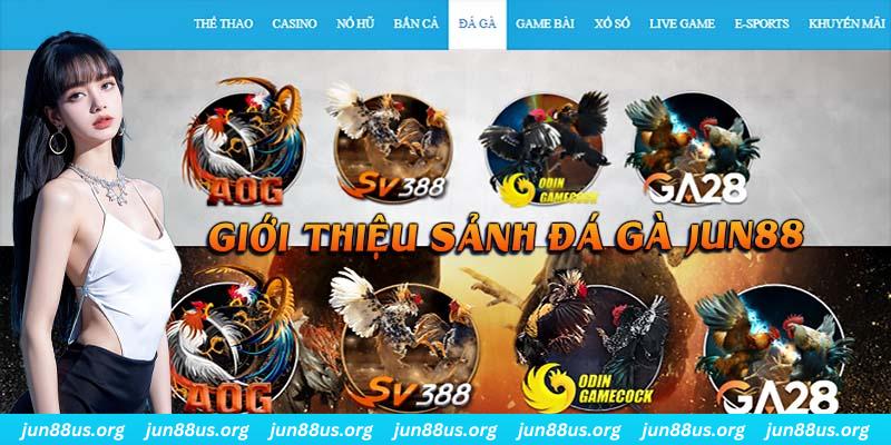 98 win đá gà trực tiếp bình luận viên