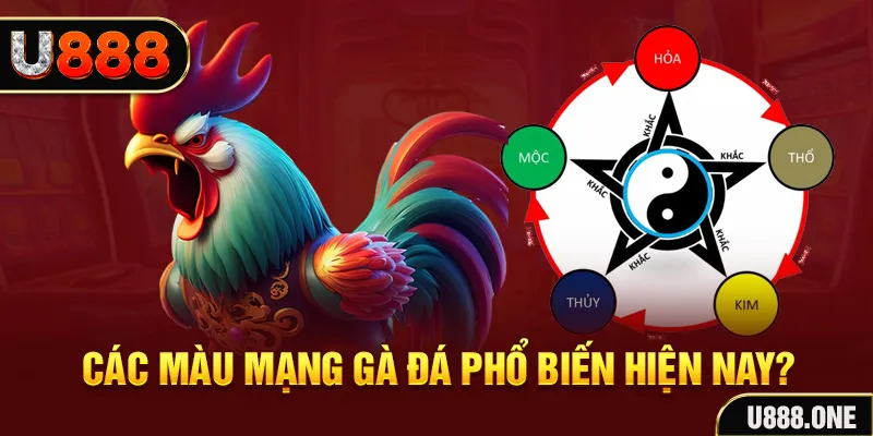 98 win FTG Điện Tử