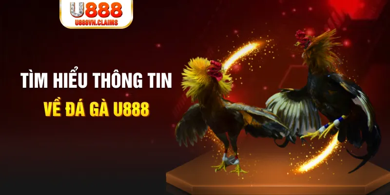98 win đăng nhập tiến lên miền nam hàng đầu