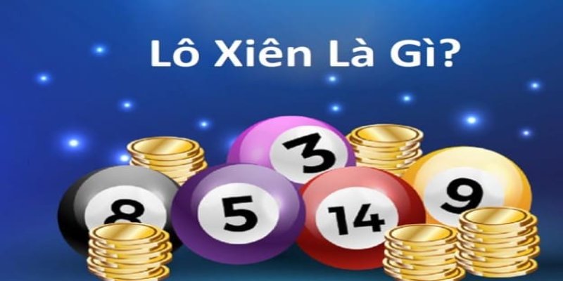98 win gà chọi hòa phong