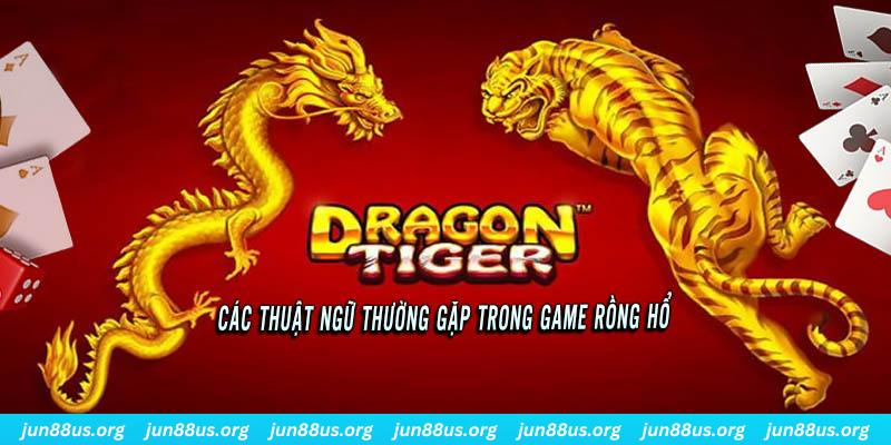 98 win ÁT CHỦ BÀI ĐẤU ĐỊA CHỦ