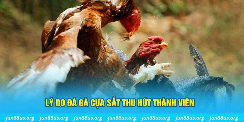 98 win chiếm slot là gì