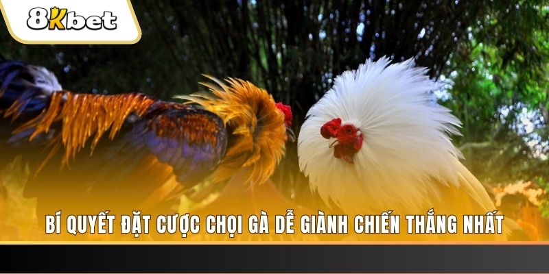 98 win xổ số thứ hai hàng tuần