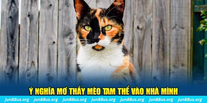 98 win RTG Bắn cá