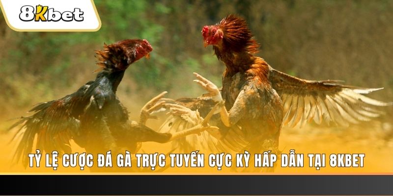 98 win baccarat online bịp như thế nào