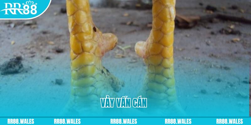 98 win đăng nhập nổ hũ hôm nay