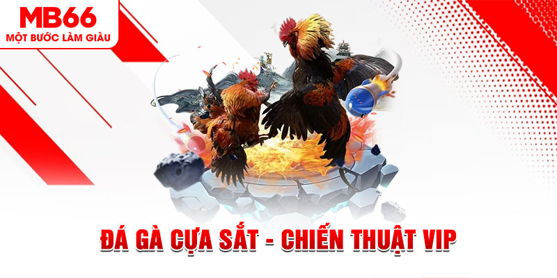 98 win xổ số trực tiếp hôm nay