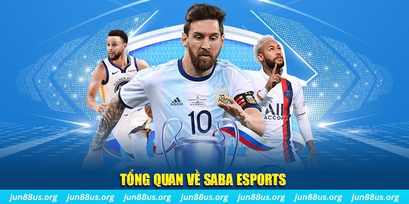 98 win kết quả xổ số miền nam