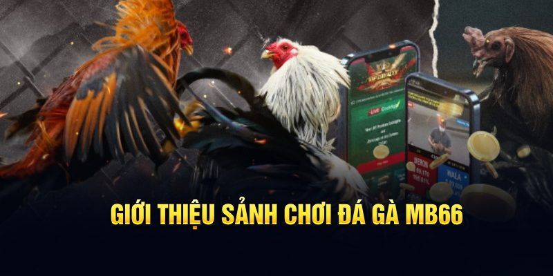 98 win đăng nhập poker hôm nay